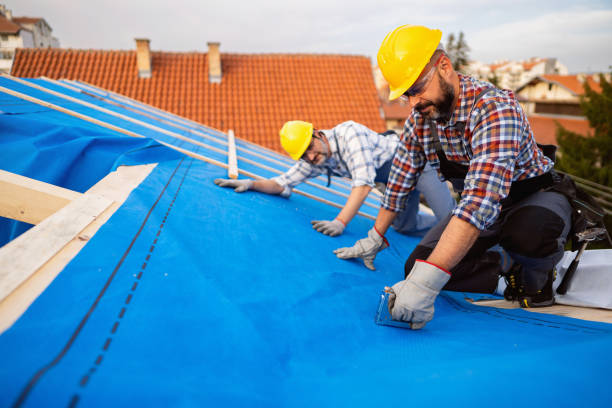 Quick and Trustworthy Emergency Roof Repair Services in Ardmore, TN